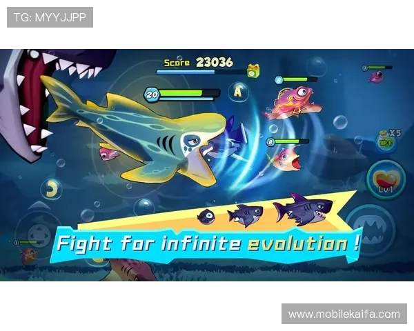 博鱼真人游戏账号注册流程详解新手快速上手指南