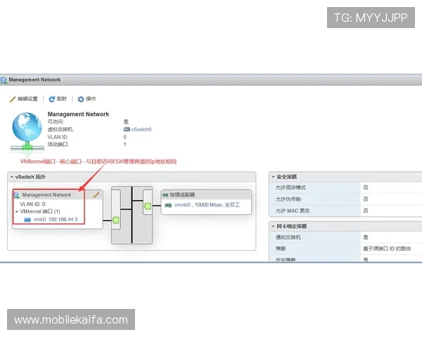 如何在官网快速下载AG视讯软件，详细步骤与常见问题解决方案