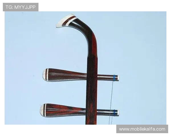 凯发娱乐官网下载最新版本，快速安装指南与常见问题解决方案