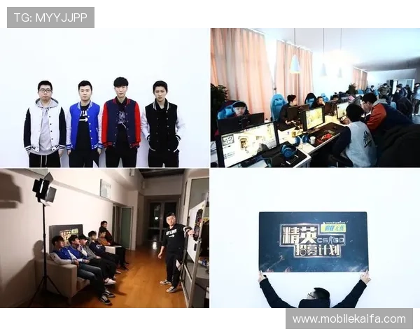 开云真人体育娱乐平台提供多样化的体育赛事竞猜与高效的投注服务