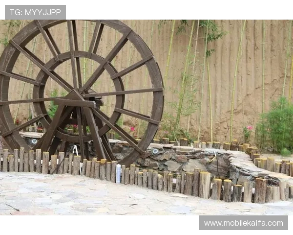 掌握万利真人排行游戏的核心策略实现排名稳步提升 掌握万利真人排行游戏的核心策略实现排名稳步提升